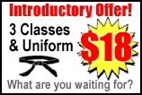 Karate Lessons Intro Offer!