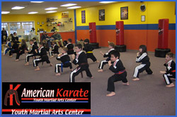 American Karate Demo Team