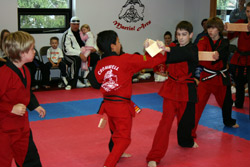 Cromwell Martial Arts Demo Team